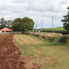 Sunnyside Sugar Plantation