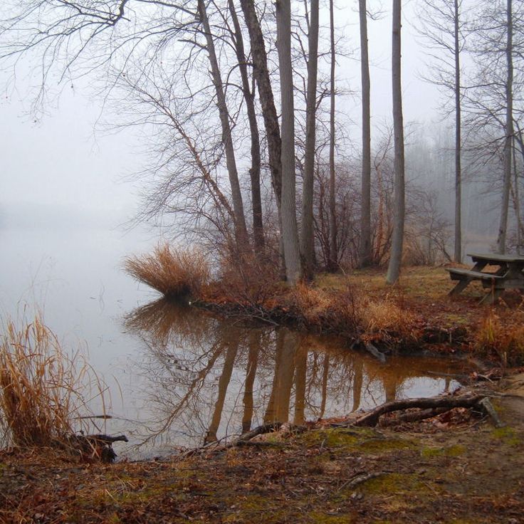 Lums Pond State Park