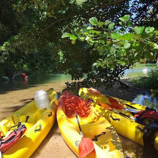 Zone de bivouac