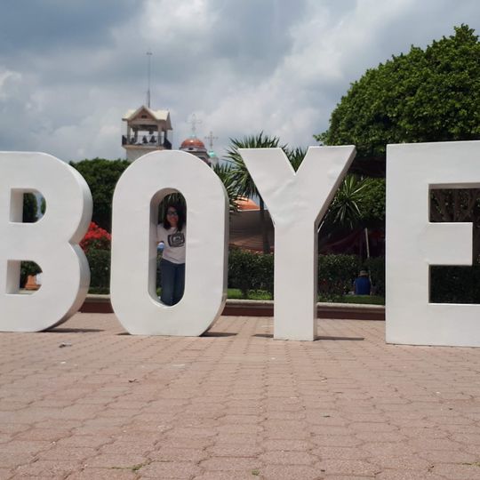 Delegacion Municipal De Boye