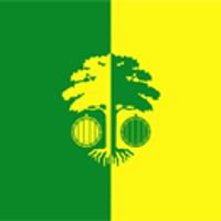 distretto di Strășeni