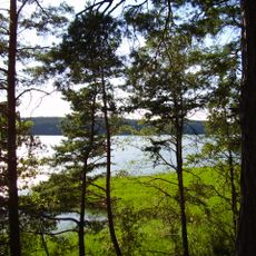 Rezerwat przyrody Jezioro Kośno