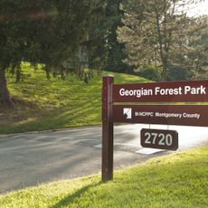 Georgian Forest Park