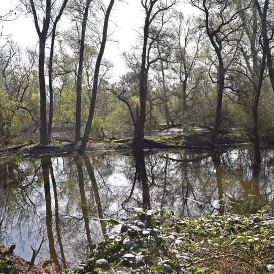 Tongrubengelände von Bensheim und Heppenheim