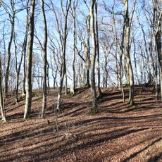 NSG Auen und Haenge an Urft und Gillesbach