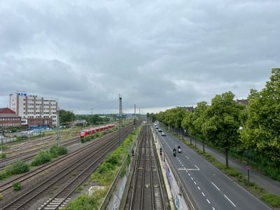 The view 1