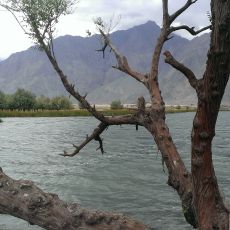 Zharba Lake