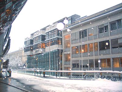 Winter 0