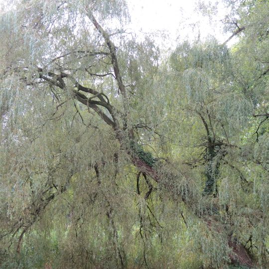 De Kiefskamp: historische tuin- en parkaanleg