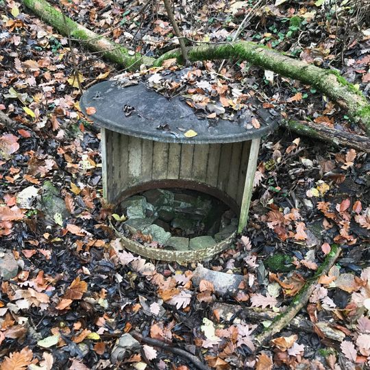 Malá studánka u Markovy studánky