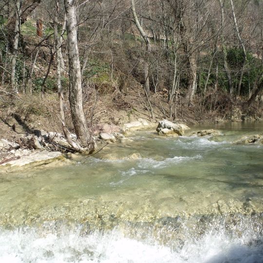 Bosco di San Francesco
