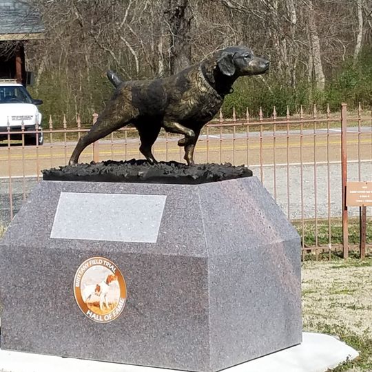 National Bird Dog Museum