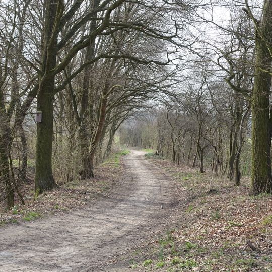 Triftweg