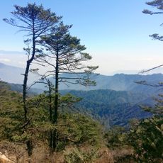 Singalila National Park