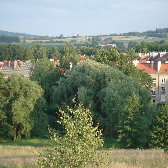 Rusinowa
