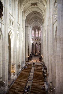 Interior 3