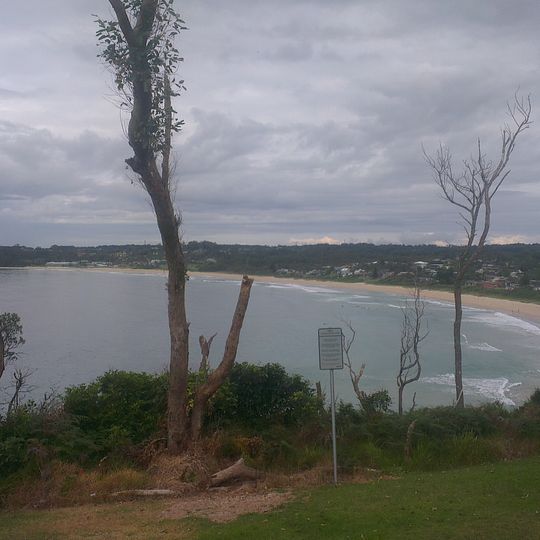 Mollymook