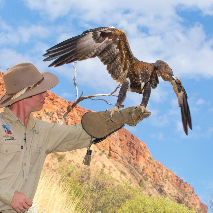 Parco del Deserto di Alice Springs