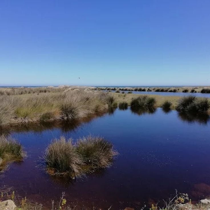 Kızılırmak Delta Bird Sanctuary