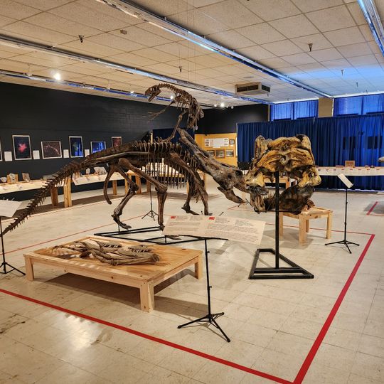 Museum of Ancient Wonders