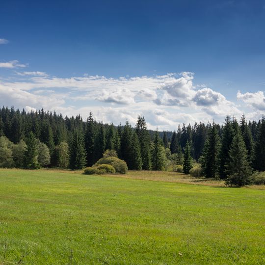 Kotlina pod Pláničským rybníkem