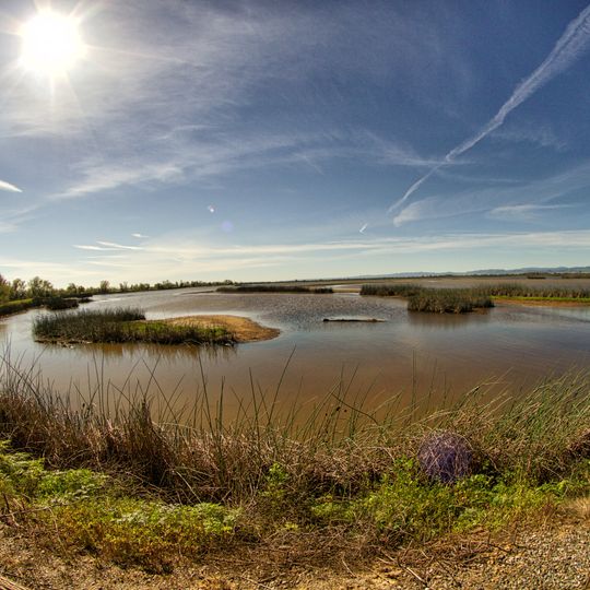 Sacramento National Wildlife Refuge