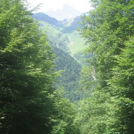 Arboretum de Jouéou