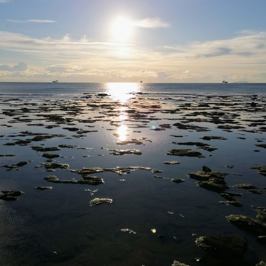 Spiaggia del Felciaio