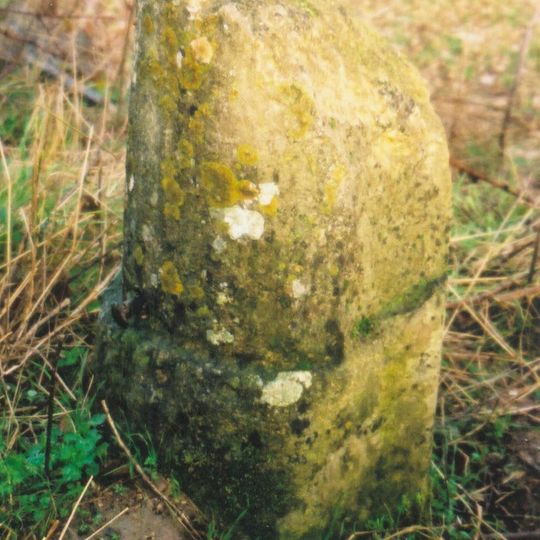 Milestone, W of Barrow Plantation, on ridge above Astall; between A40 roundabout & turn to Brize