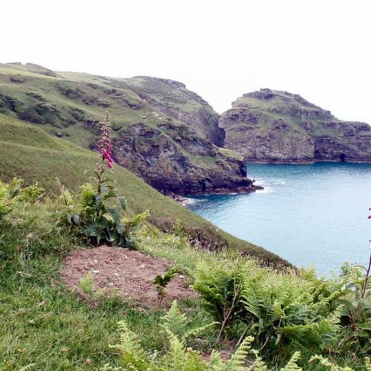 Lye Cove
