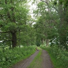 Alej od státního statku Rokytnice v Orl. horách k Novému dvoru