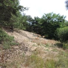 Naturdenkmal Parabeldüne (Düne) 800m N-O; Flur 4; 5, 6; 8 Flurstück 14; 7, 8, 9, 10; 15/1, 15/2; 10/2 in Horstwalde