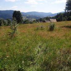 Glinka (Beskid Żywiecki)