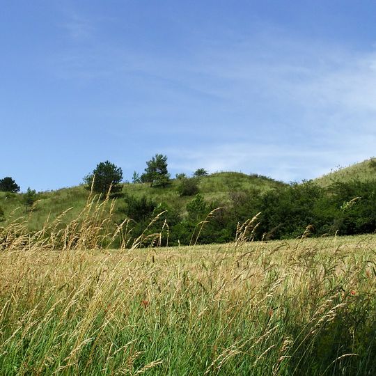 Ziegenberg bei Heimburg