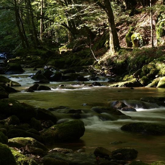 Tal des Kleinen Kößlbaches