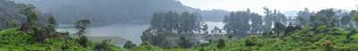 Panoramic View 0