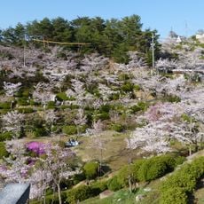 Senkōji Park