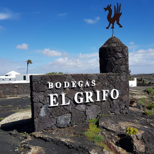 Museo del Vino El Grifo
