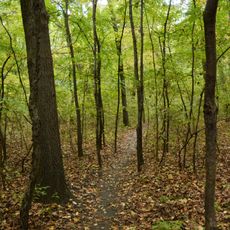 Black Oak Heritage Park