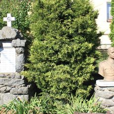 Pomník obětem první světové války