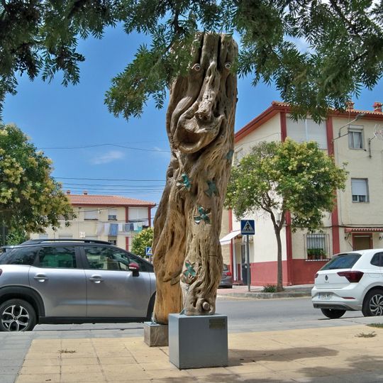 Pachufo de los Bosques