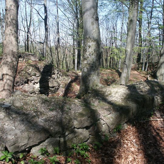 Burgruine Dreienburg