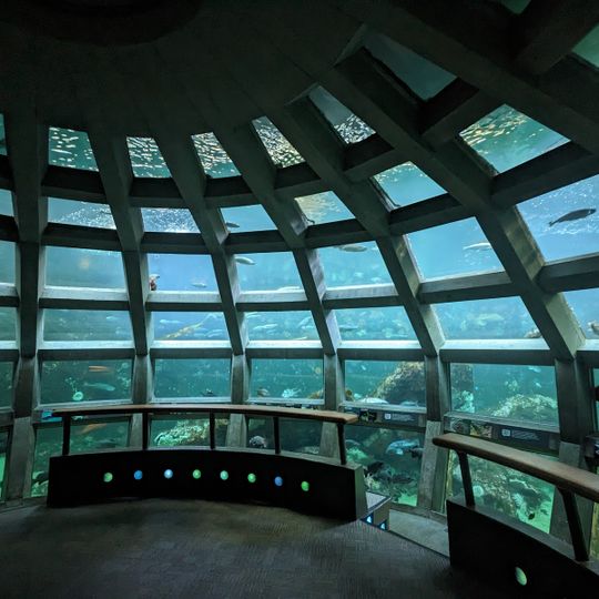 Seattle Marine Aquarium