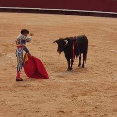 Arènes Le Palio