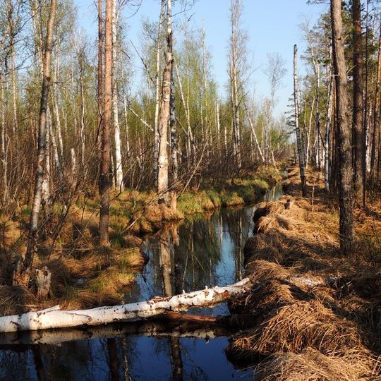 Rdeysky Nature Reserve