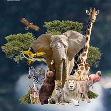 Olmen Zoo