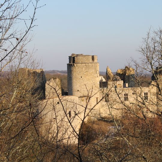 Château de Roussillon