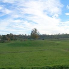 1 Linde auf dem Weiherbuckel (Weilheim)