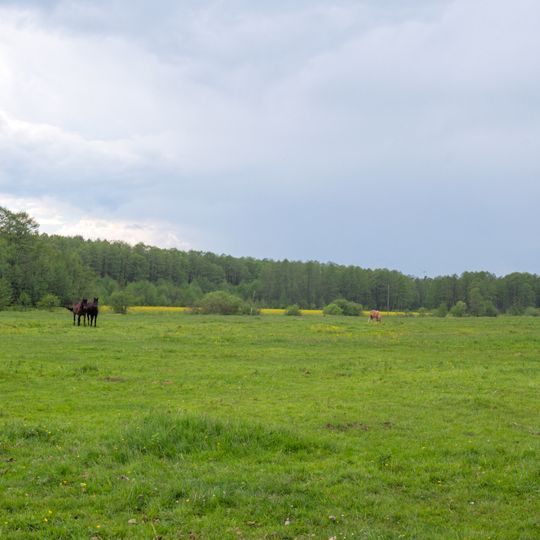Floodplain of the Zbytenka river