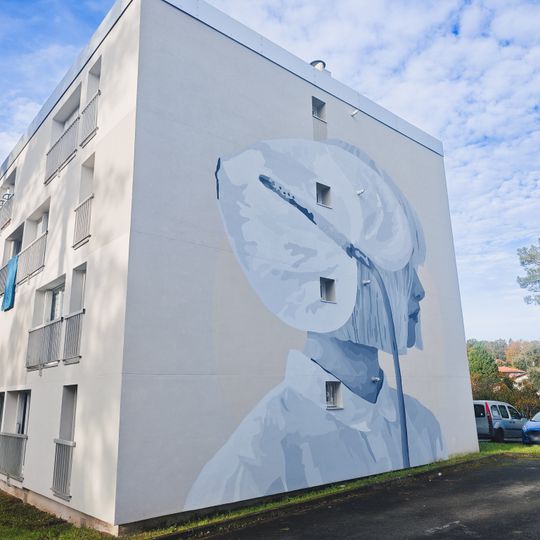 Vous qui passez sans me voir